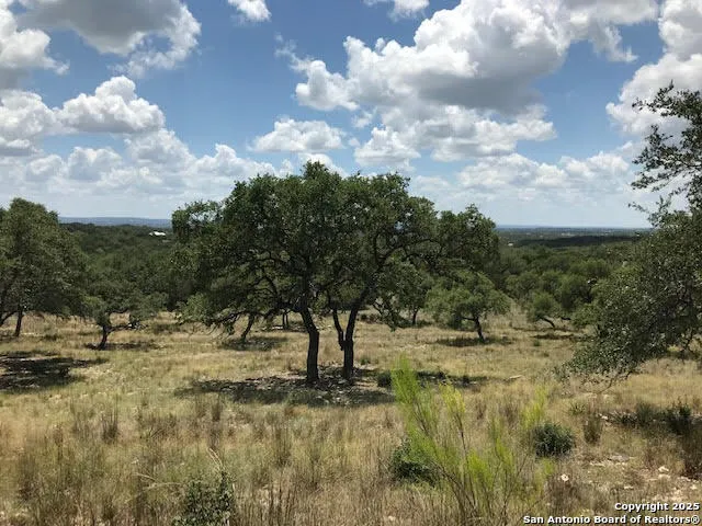 1074 Madrone Road Fischer, TX 78623